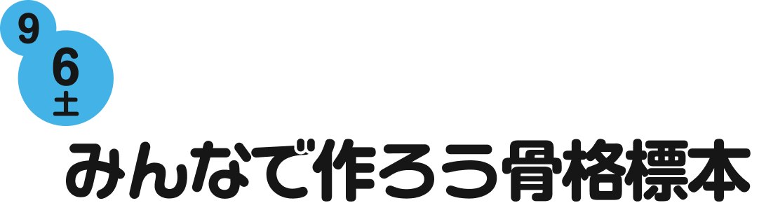 みんなで作ろう骨格標本