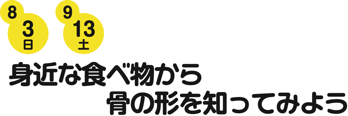 身近な食べ物から骨の形を知ってみよう
