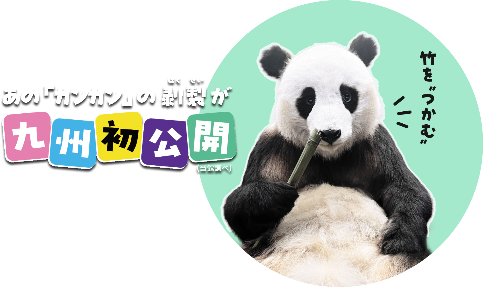 カンカン