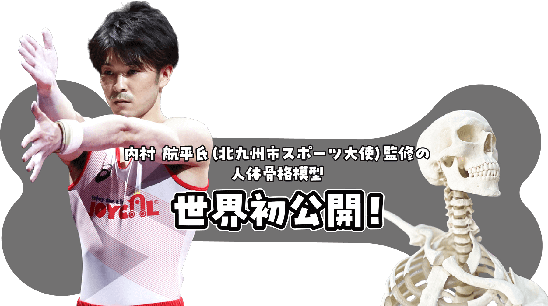 内村航平氏（北九州市立スポーツ大使）監修の人体骨格模型　世界初公開！